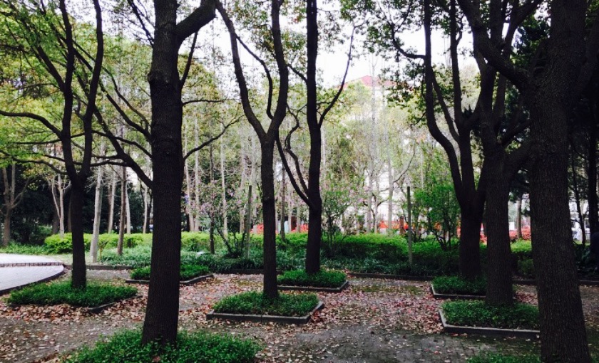 上海益善山庄攻略,上海益善山庄门票/游玩攻略/地址/图片/门票价格