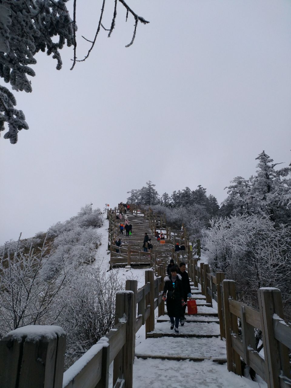 西岭雪山