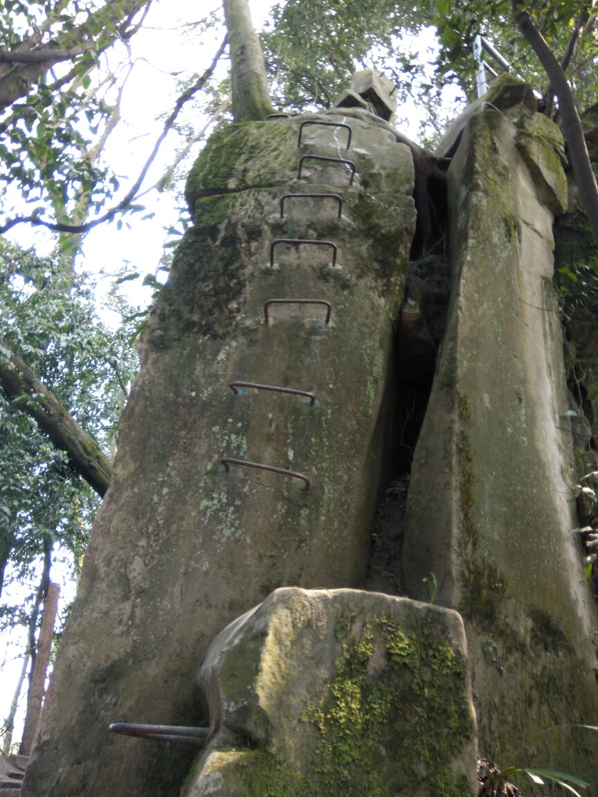 【携程攻略】重庆圣灯山森林公园好玩吗,重庆圣灯山森林公园景点怎么