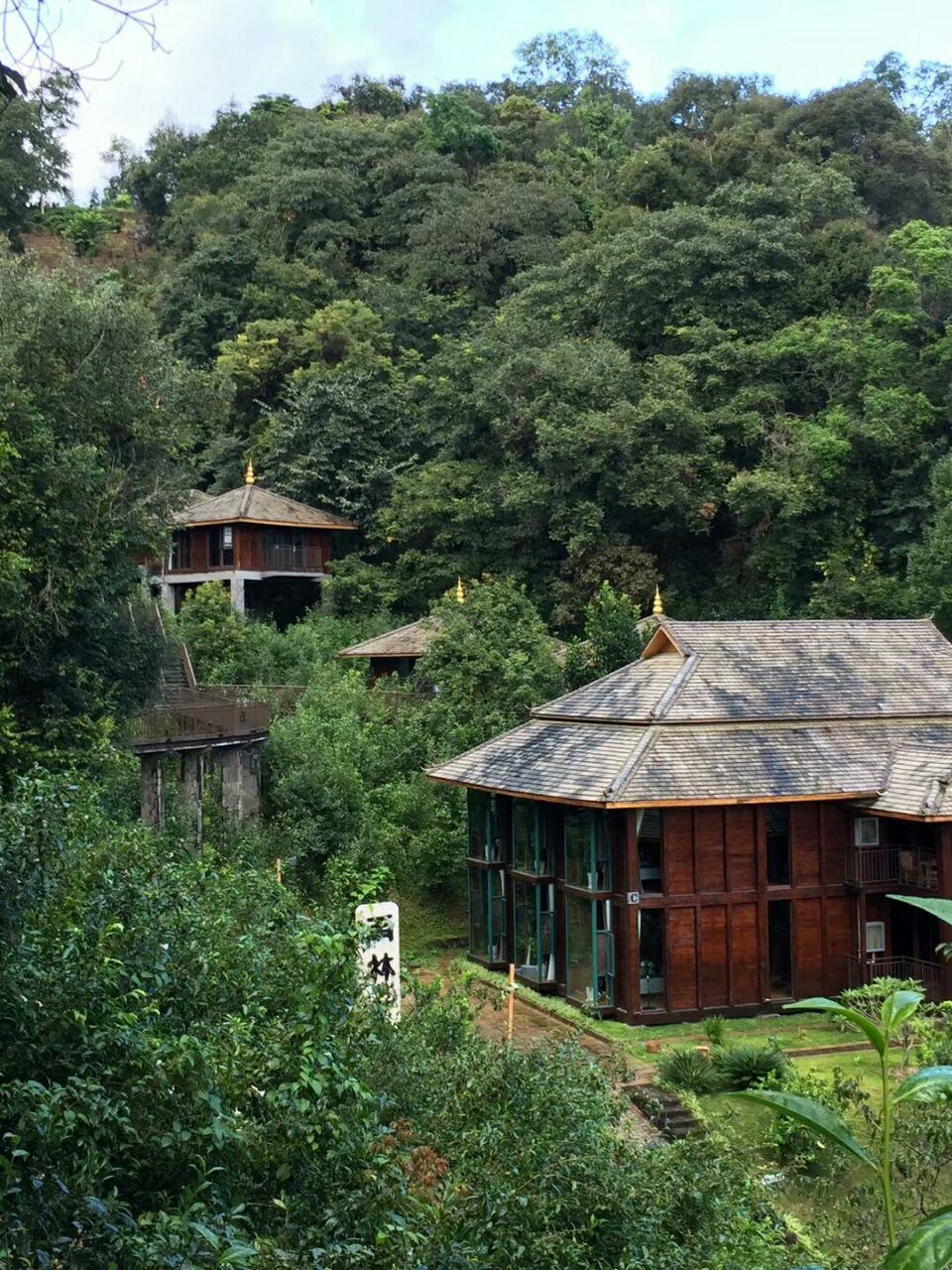 雨林古茶坊庄园