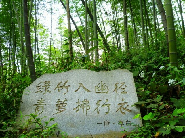 井冈山百竹园好玩吗,井冈山百竹园景点怎么样_点评_评价【携程攻略】