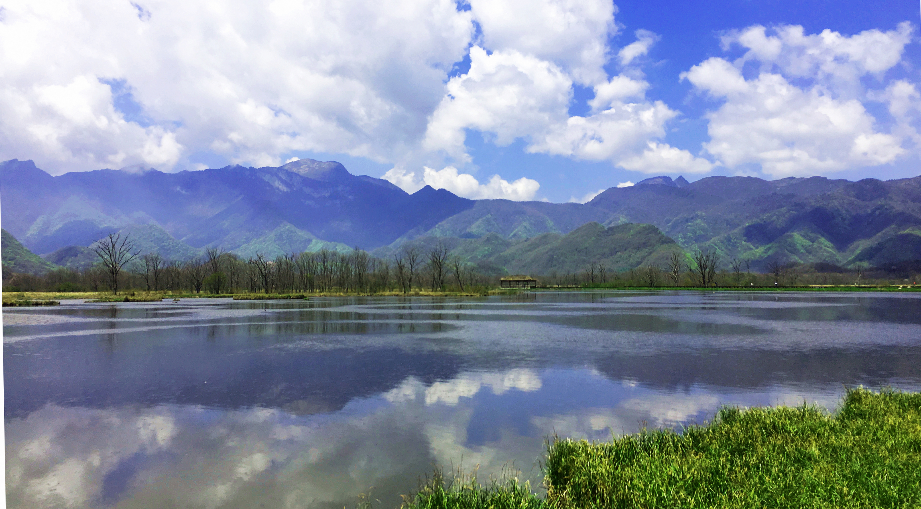 大九湖风景区旅游攻略图片