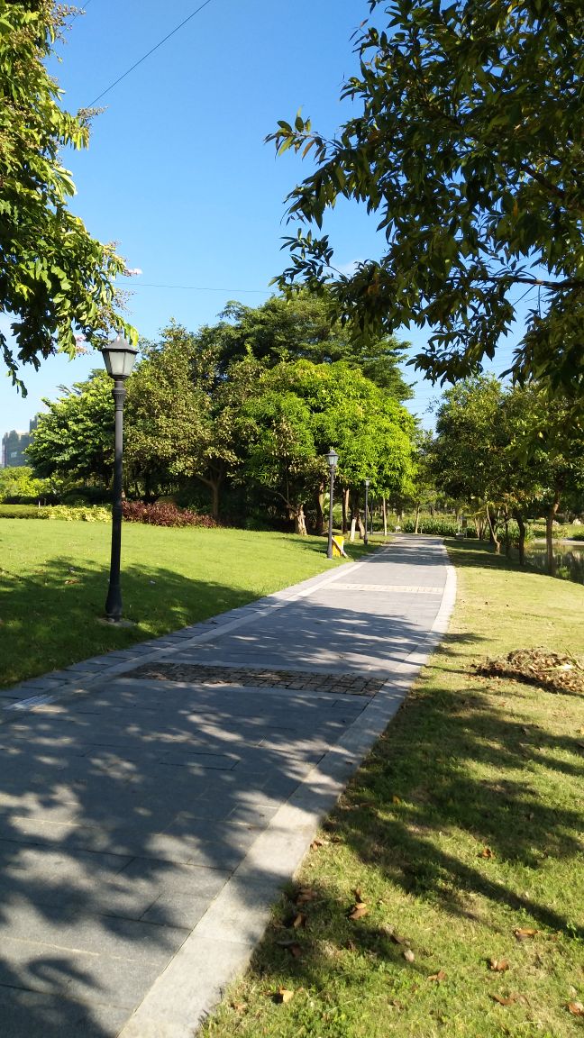 開平市人民公園