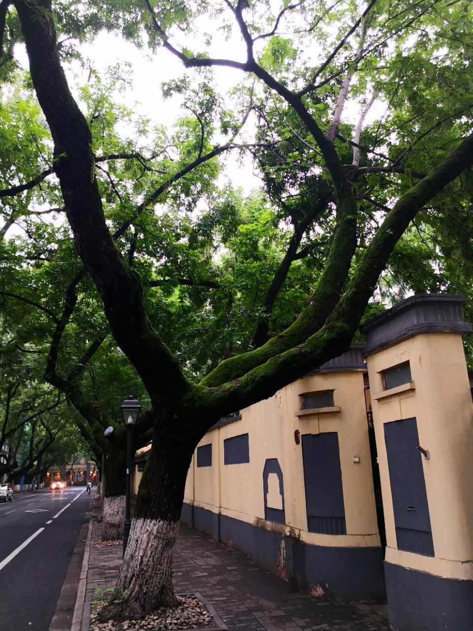 中山路民国建筑街