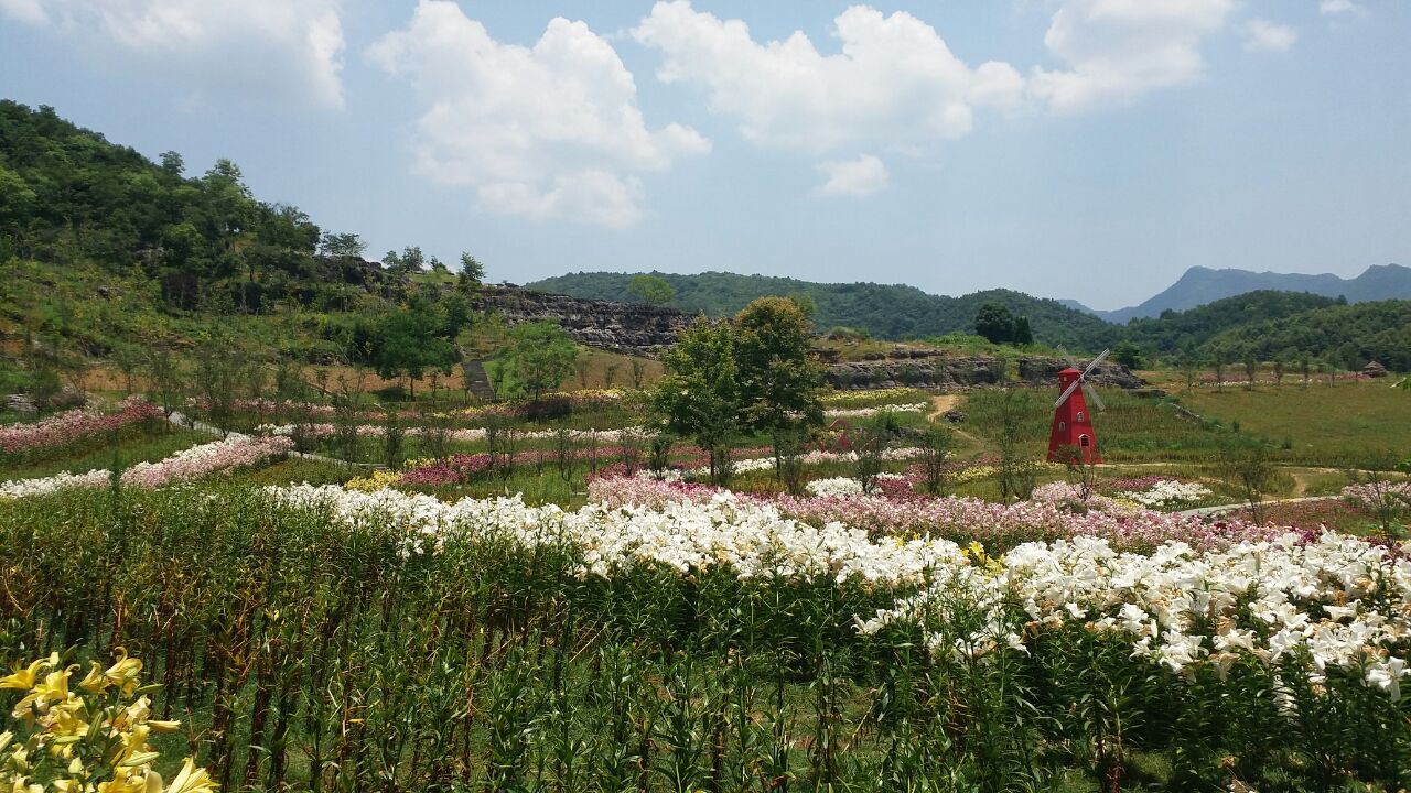 黟县西递石林景区好玩吗,黟县西递石林景区景点怎么样_点评_评价