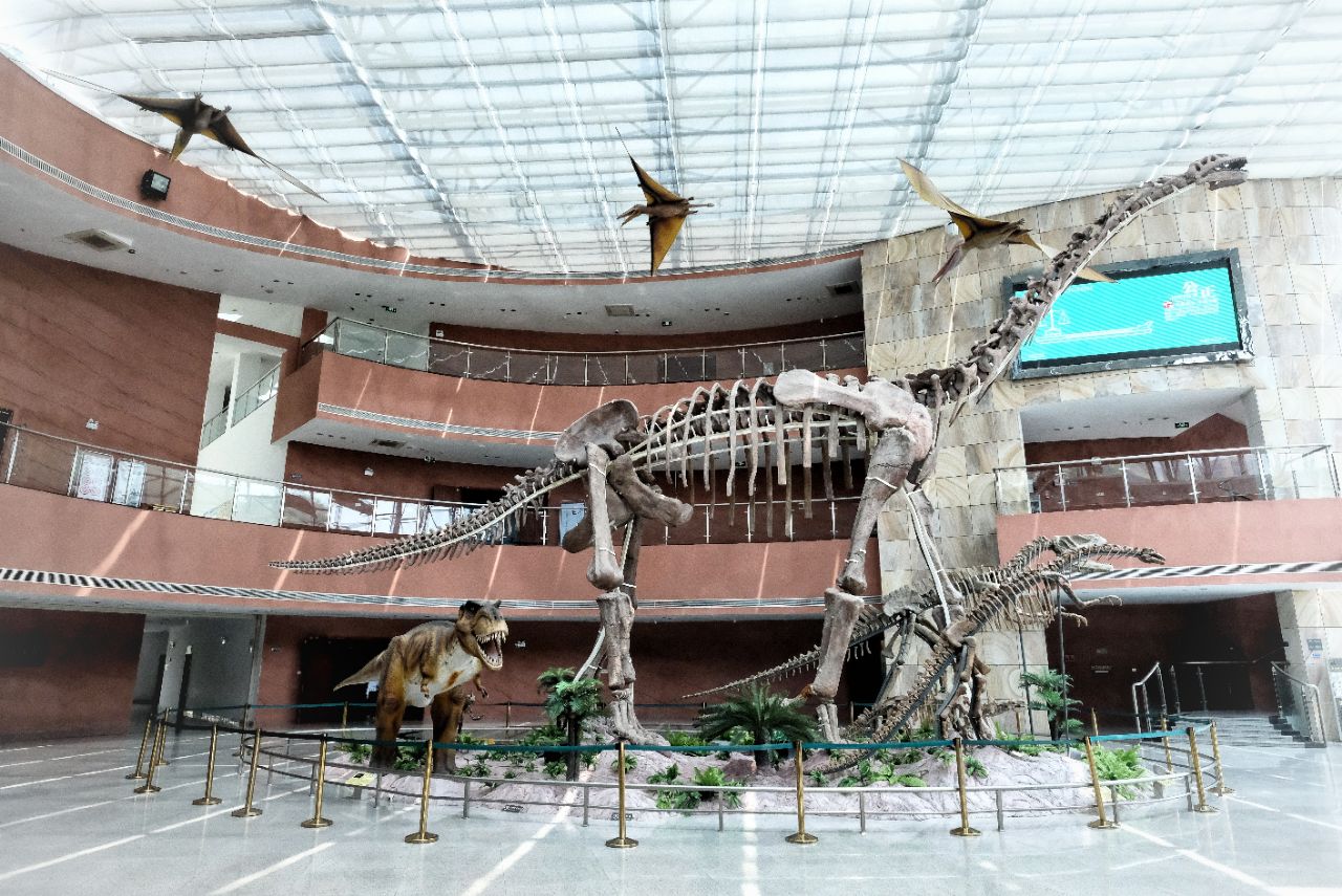河源恐龙博物馆向世人完整呈现了中华恐龙之乡河源的世界之最,17000