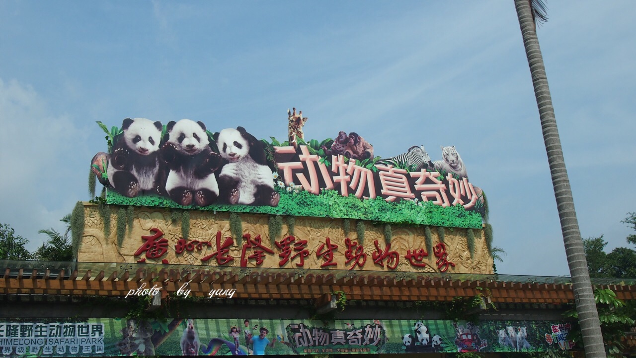 长隆野生动物世界