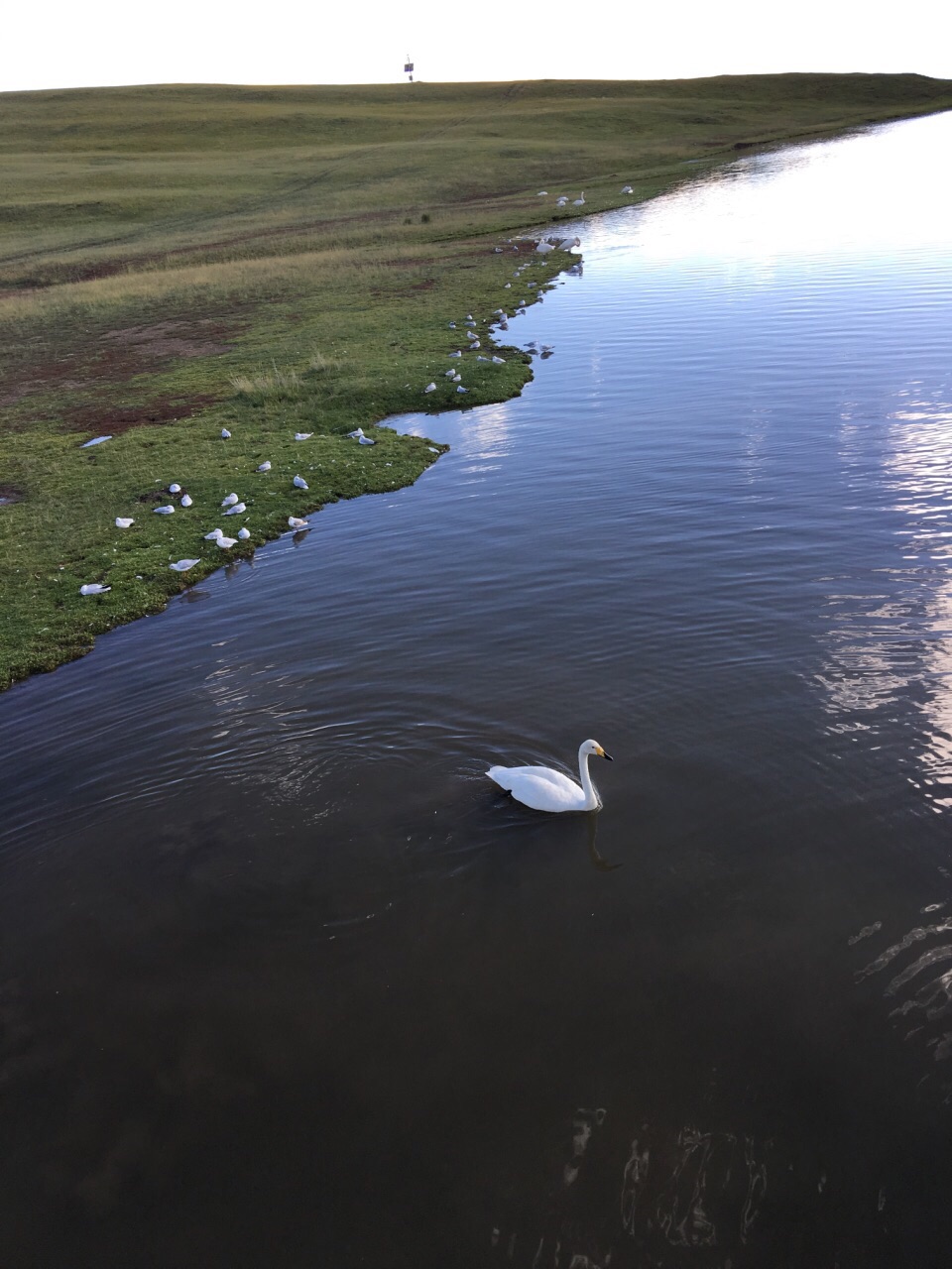 【携程攻略】巴音郭楞巴音布鲁克天鹅湖景点,下午五点十分到达巴音