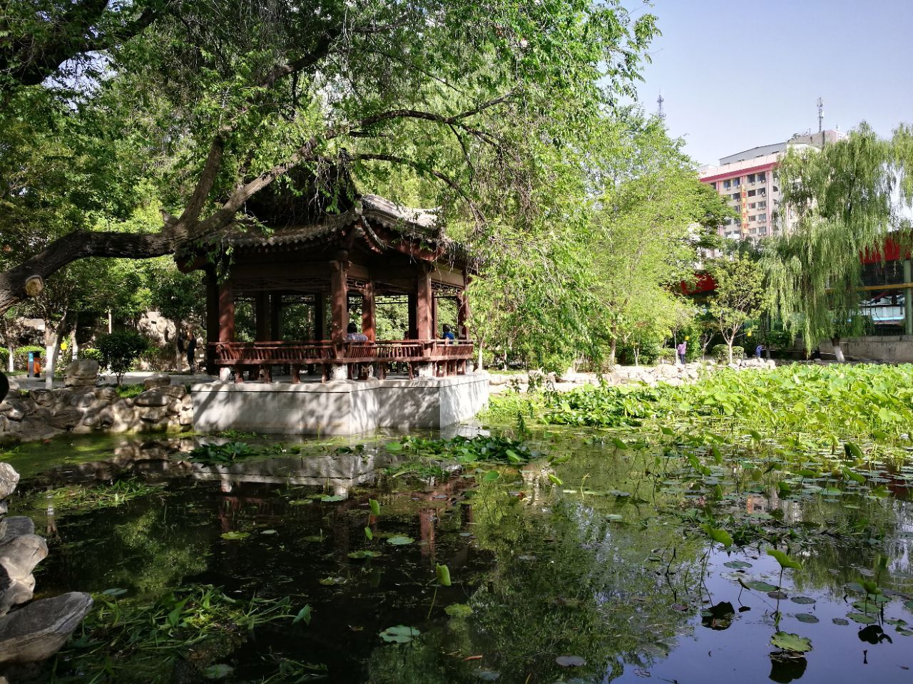2020上海滨江森林公园-旅游攻略-门票-地址-问答-游记点评，上海旅游旅游景点推荐-去哪儿攻略