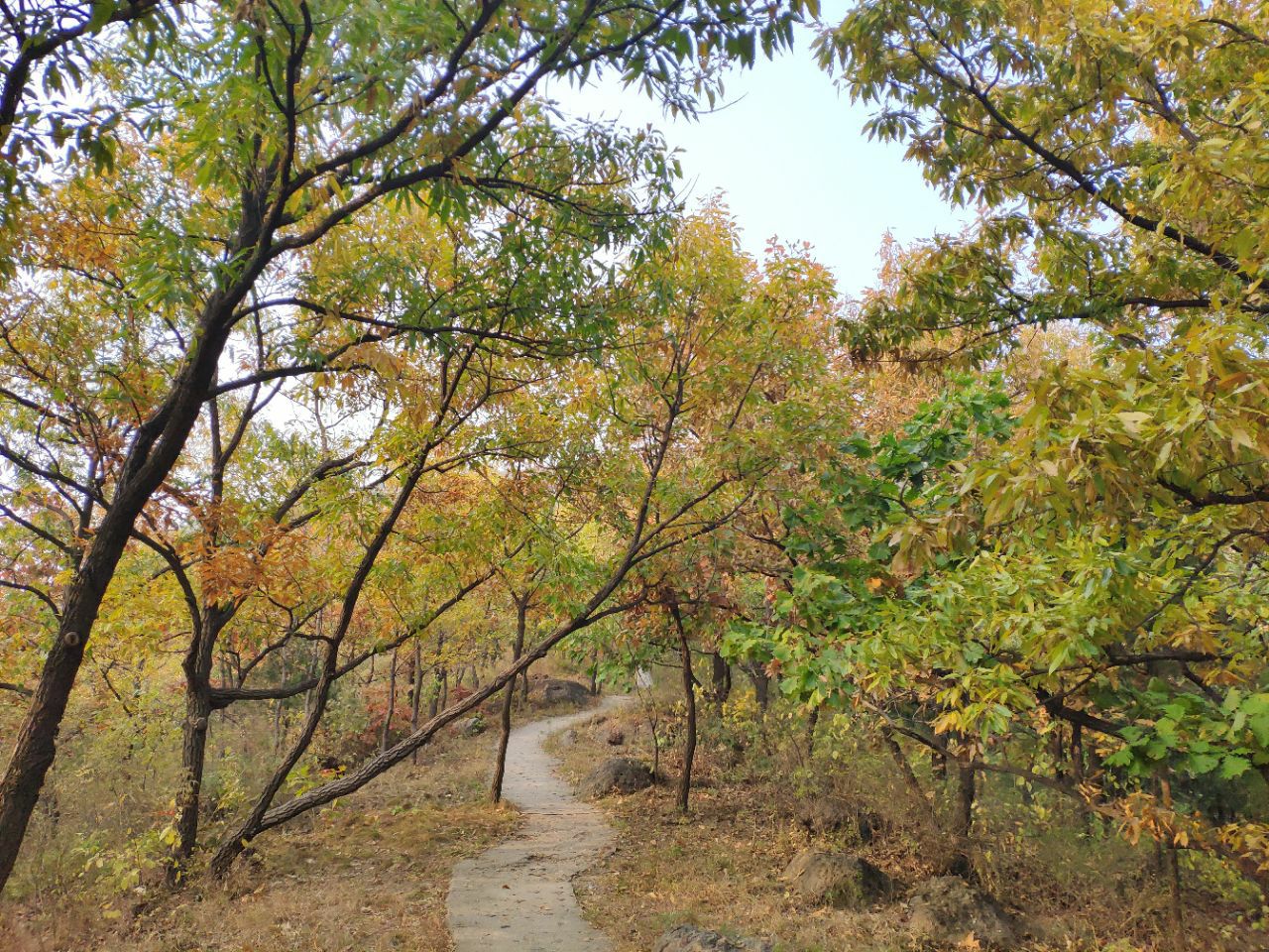 【携程攻略】北京蟒山国家森林公园景点,位于北京市昌平区，AAA级别景区，人非常的少，有一个水库，山脚下有…