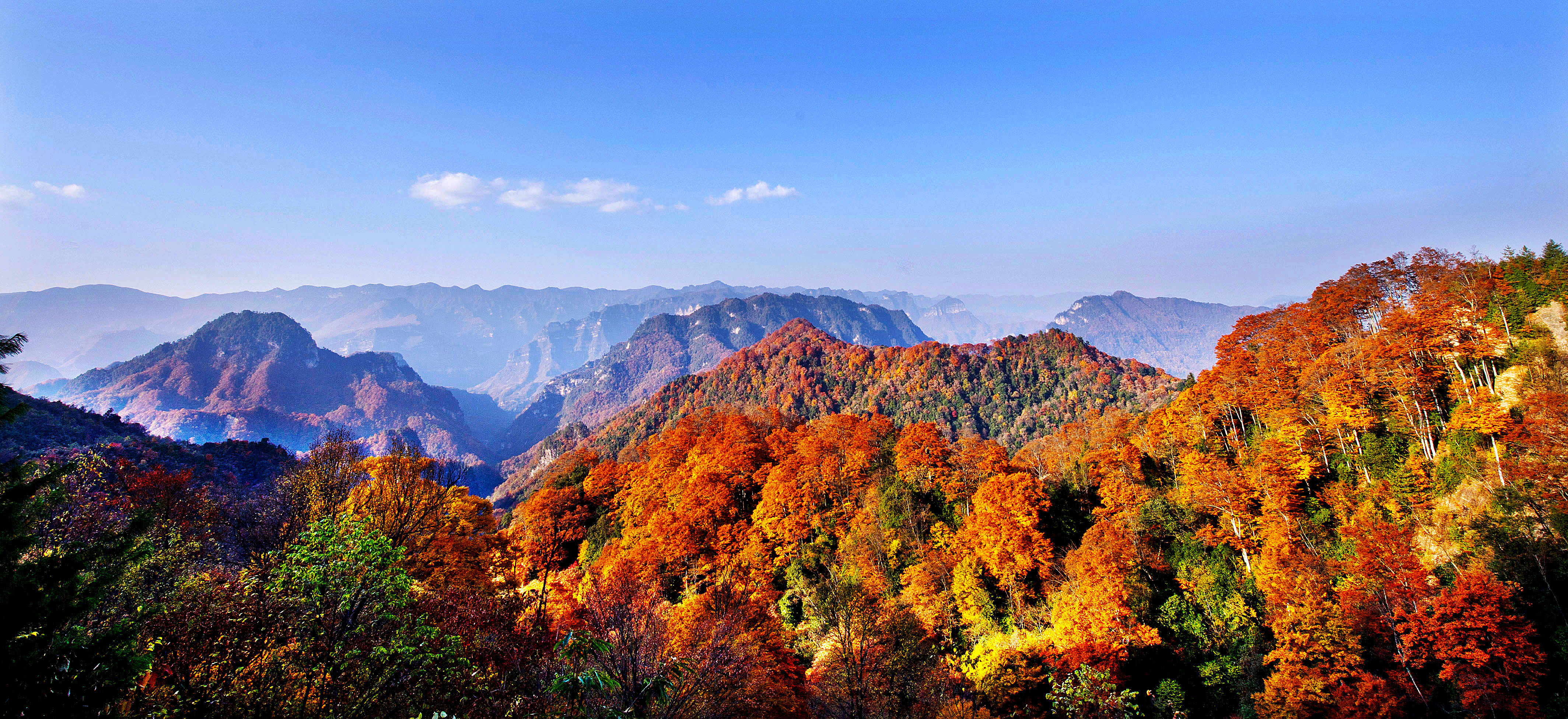 层林尽染 万山红遍—乐山至光雾山(米仓山,十八月潭)3日自驾游