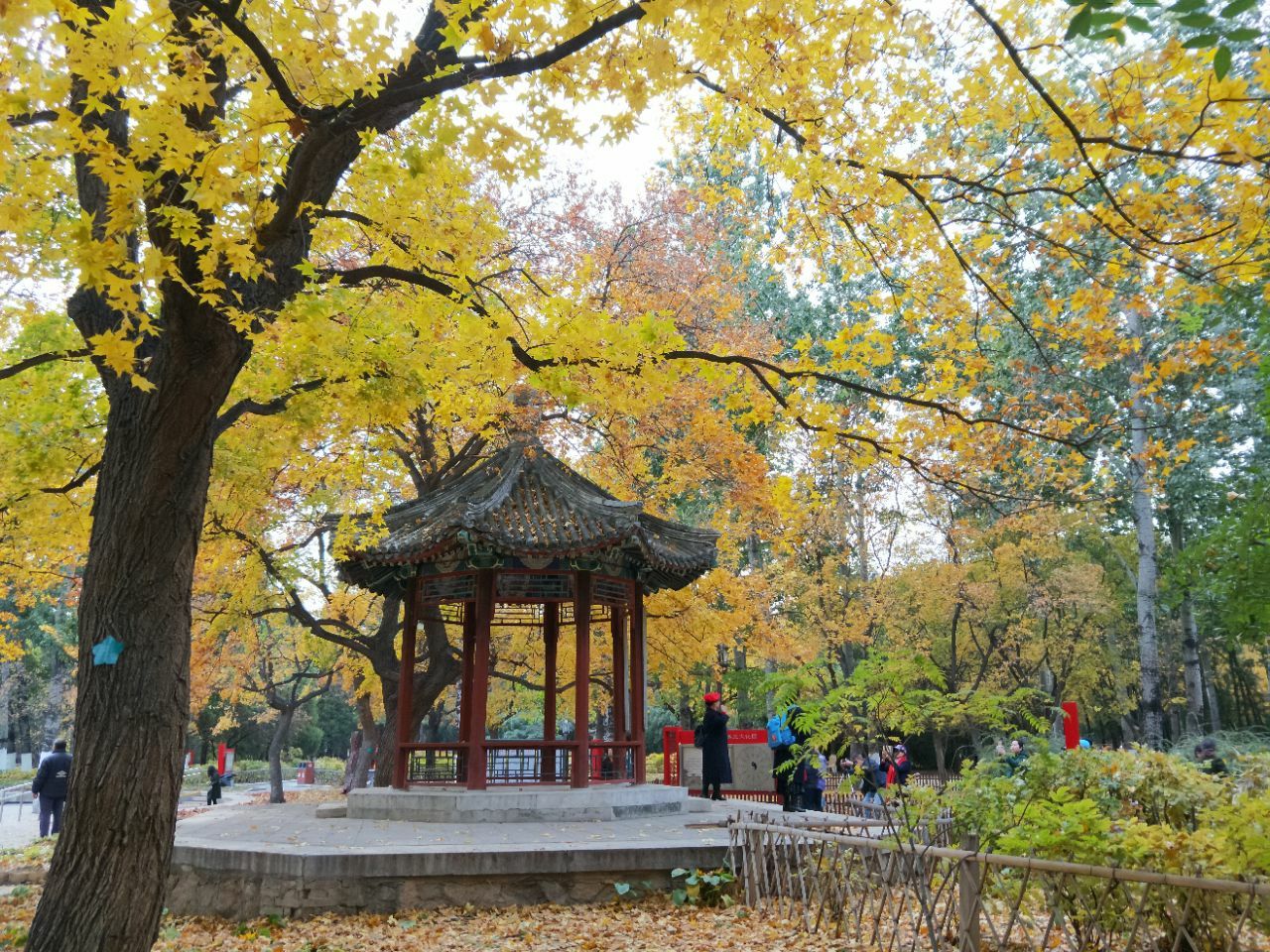 2021地坛-旅游攻略-门票-地址-问答-游记点评，北京旅游旅游景点推荐-去哪儿攻略