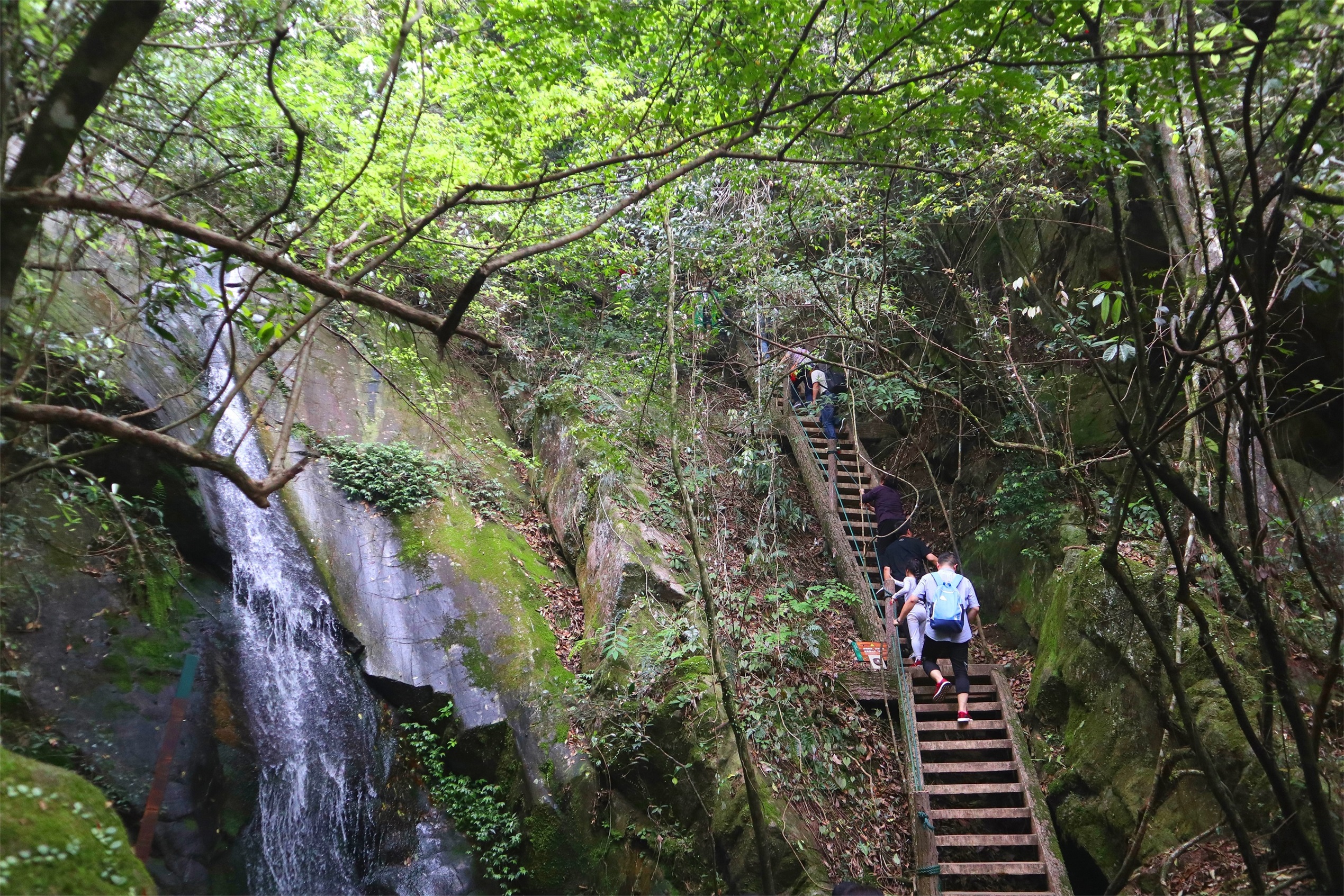 千岛湖森林氧吧