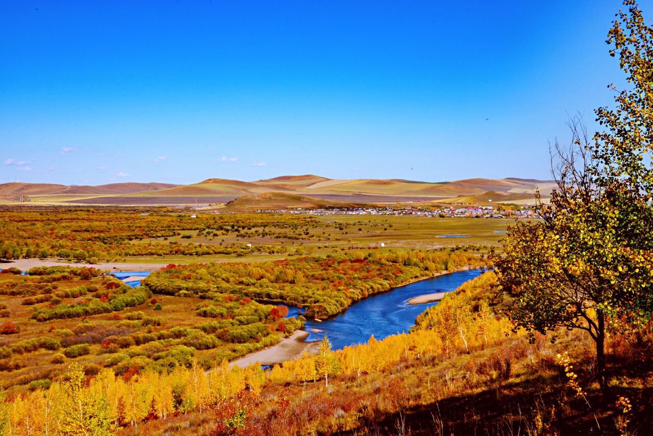 额尔古纳额尔古纳湿地好玩吗,额尔古纳额尔古纳湿地景点怎么样_点评
