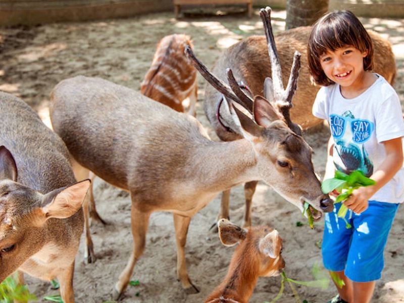 巴釐野生動物園