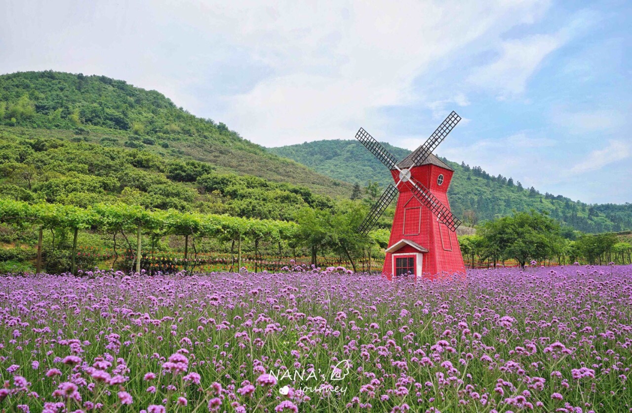 大石山旅游农庄图片