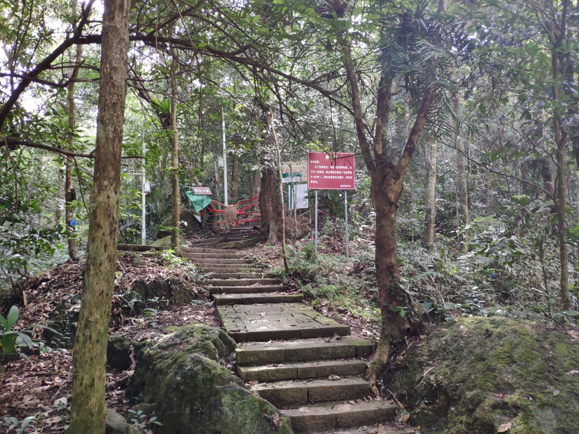 歌乐山国家森林公园 - 中国旅游资讯网365135.COM