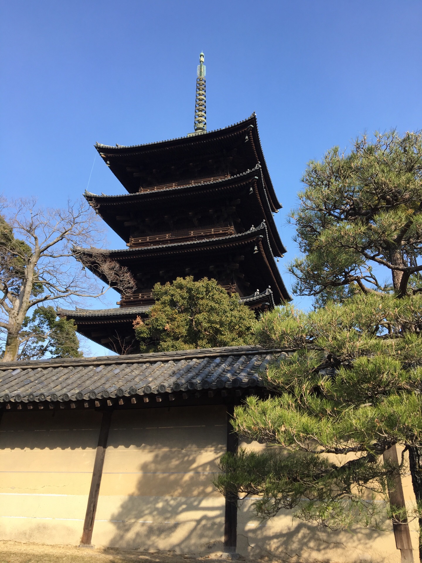 京都东寺攻略,京都东寺门票/游玩攻略/地址/图片/门
