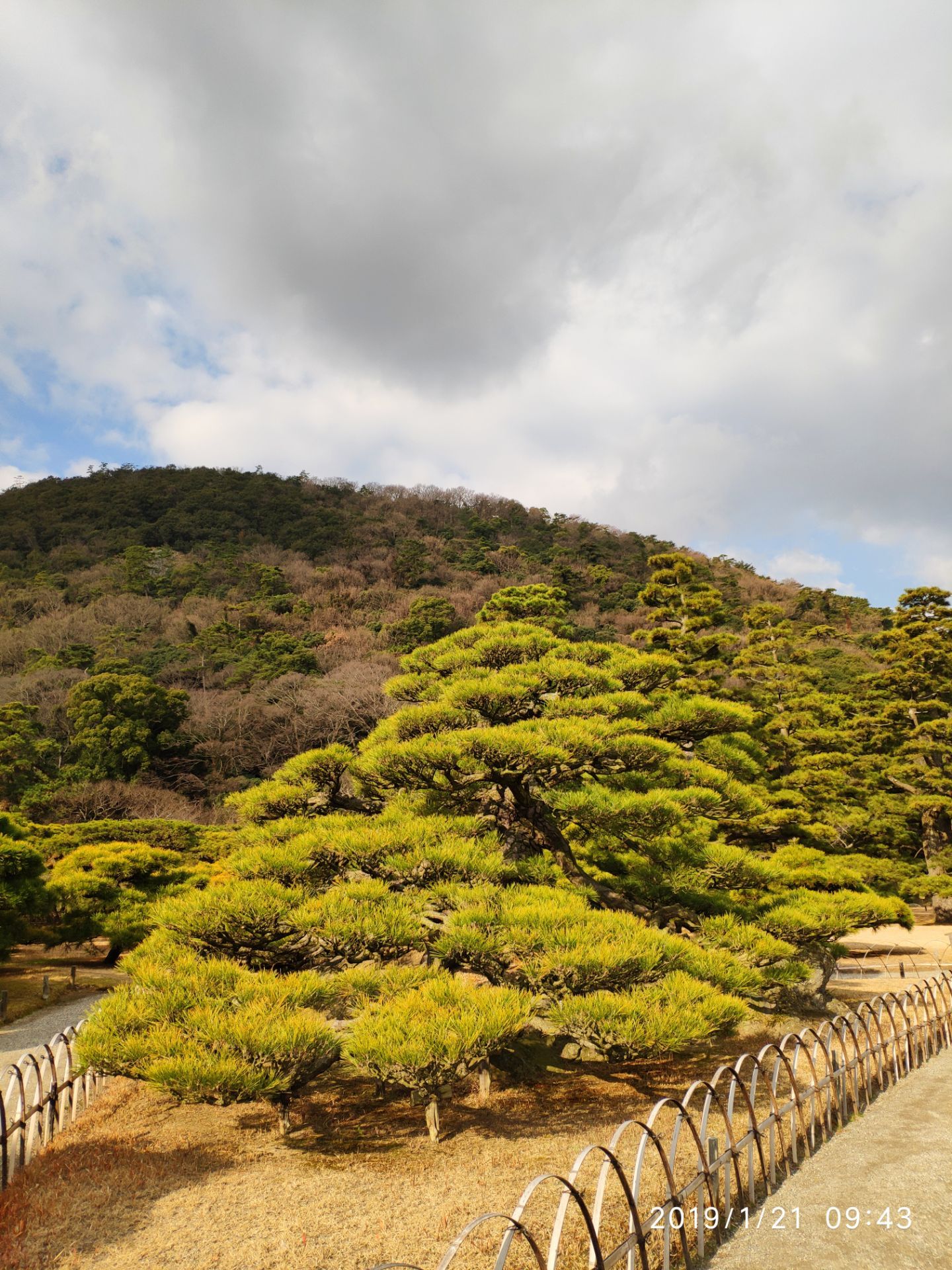 【携程攻略】香川县栗林公园景点,香川县最著名的景点,高松旅游名片