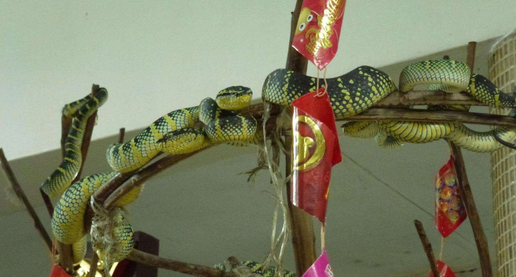 中国蛇庙图片