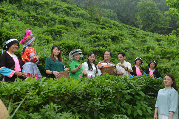 歌唱家唐佩珠贾双飞深入八桂茶叶山为劳动者唱茶歌 歌唱,歌唱家,唐佩,唐佩珠,佩珠