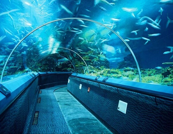 斯卡堡 上海海洋水族館可以推輪椅參觀