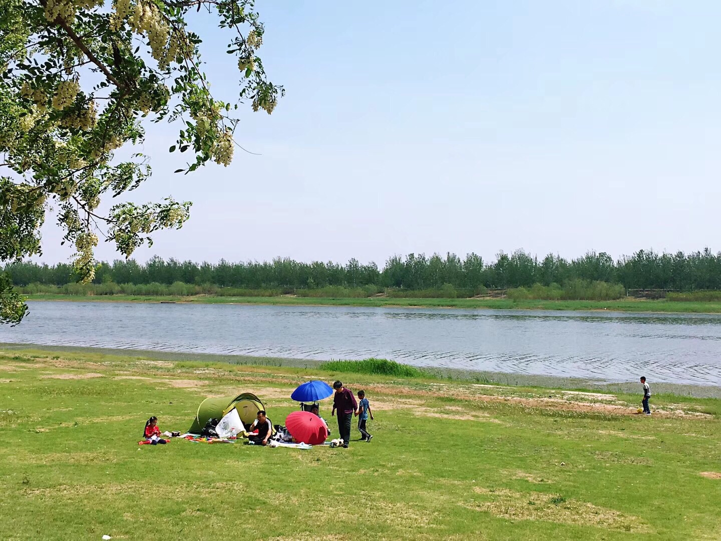 【携程攻略】北京北坞公园景点,北坞公园是海淀三山五园的园外园，也是一个田园式郊野公园，公园绿草…