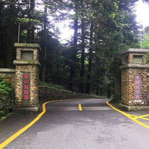 庐山植物园旅游景点图片
