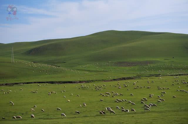 猛犸象灭绝原因可能是气候变化而非人类狩猎