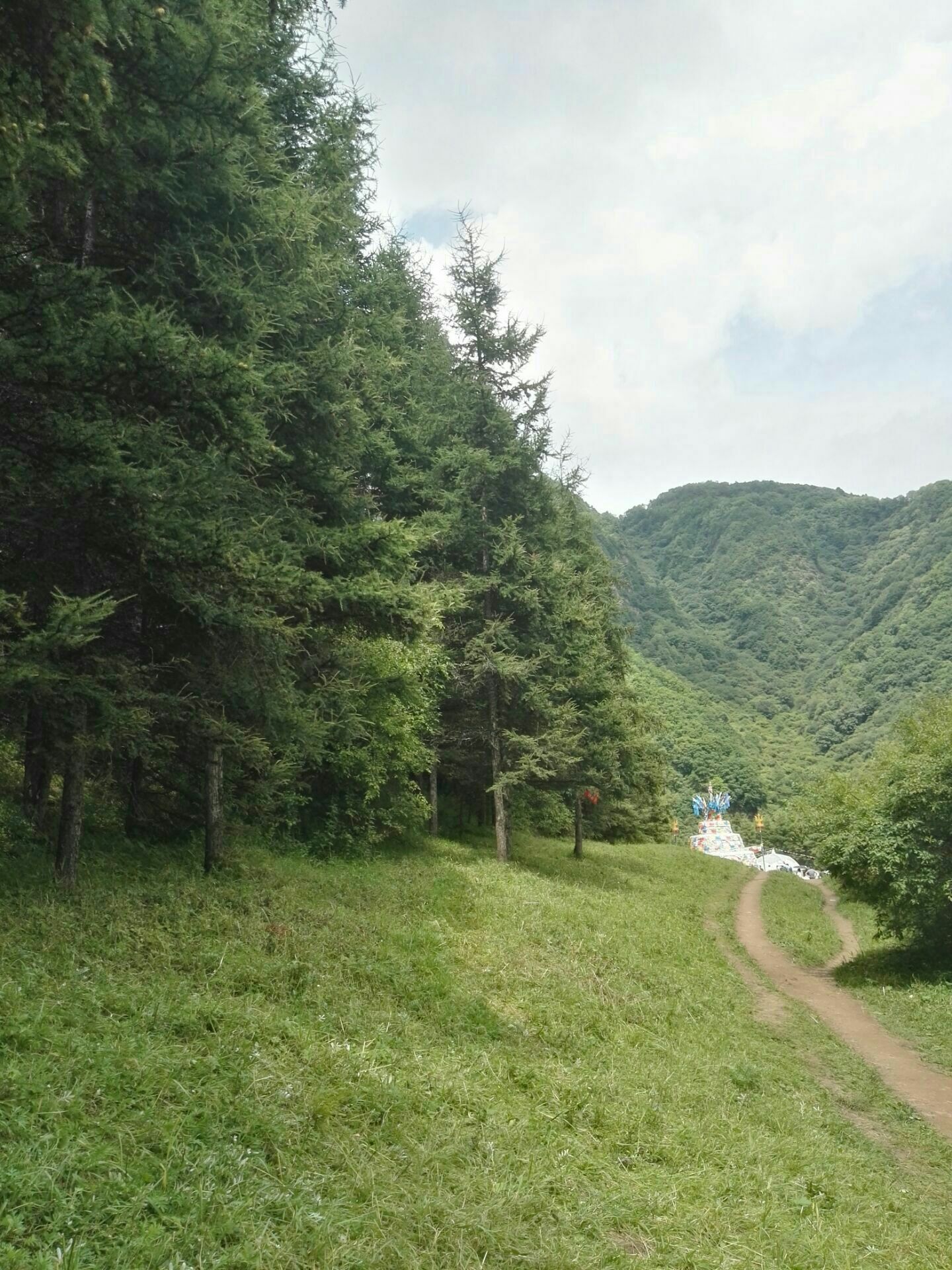 泾源县凉殿峡:凉殿峡,故名思义是清凉的峡谷,位于六盘山腹地浓荫蔽日