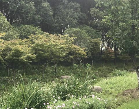 100c170000011kanp606B_C_480_375.jpg