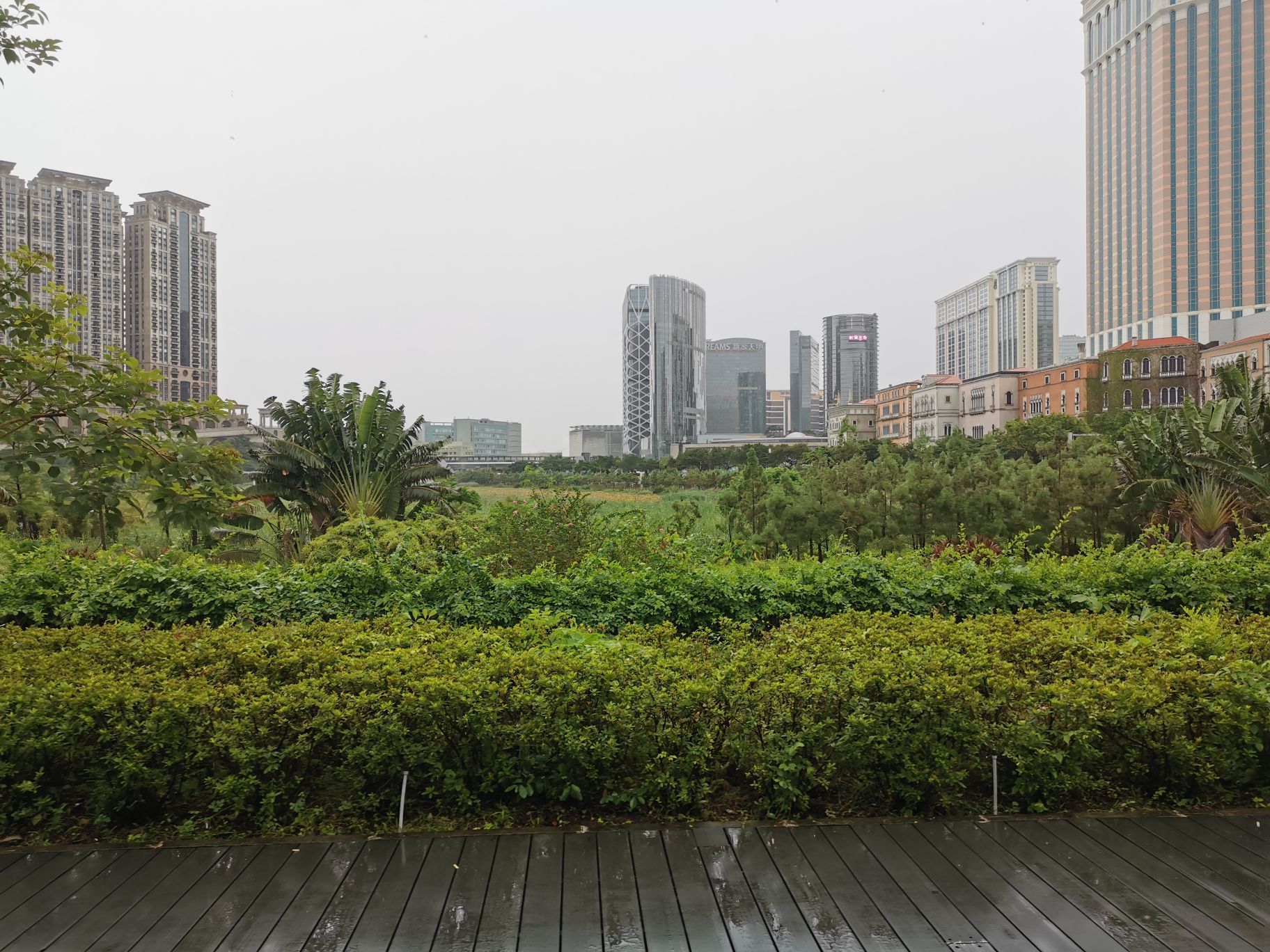 2020嘉模公园游玩攻略,非常值得去的地方,游客不多.【去哪儿攻略】