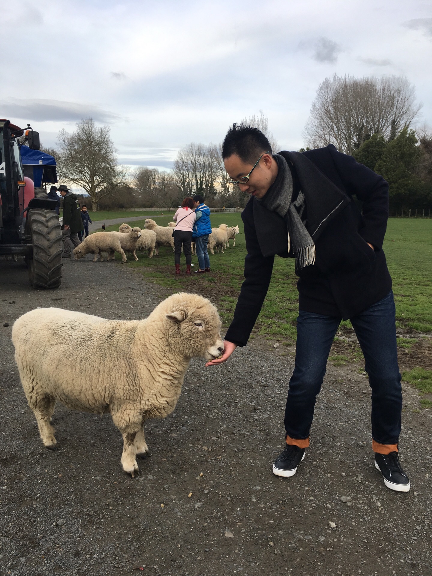 21爱歌顿农场玩乐攻略 爱歌顿农场 占地面积135公顷 去哪儿攻略