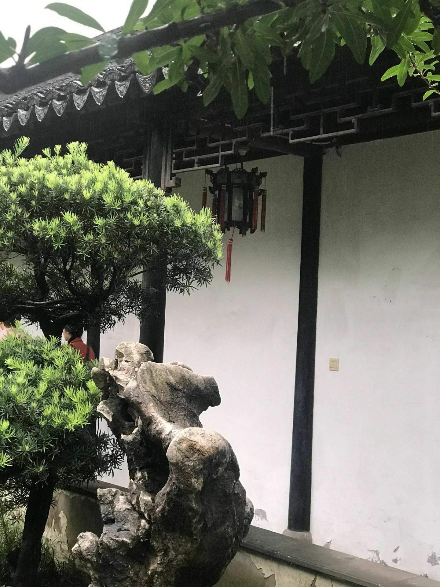 魏庐