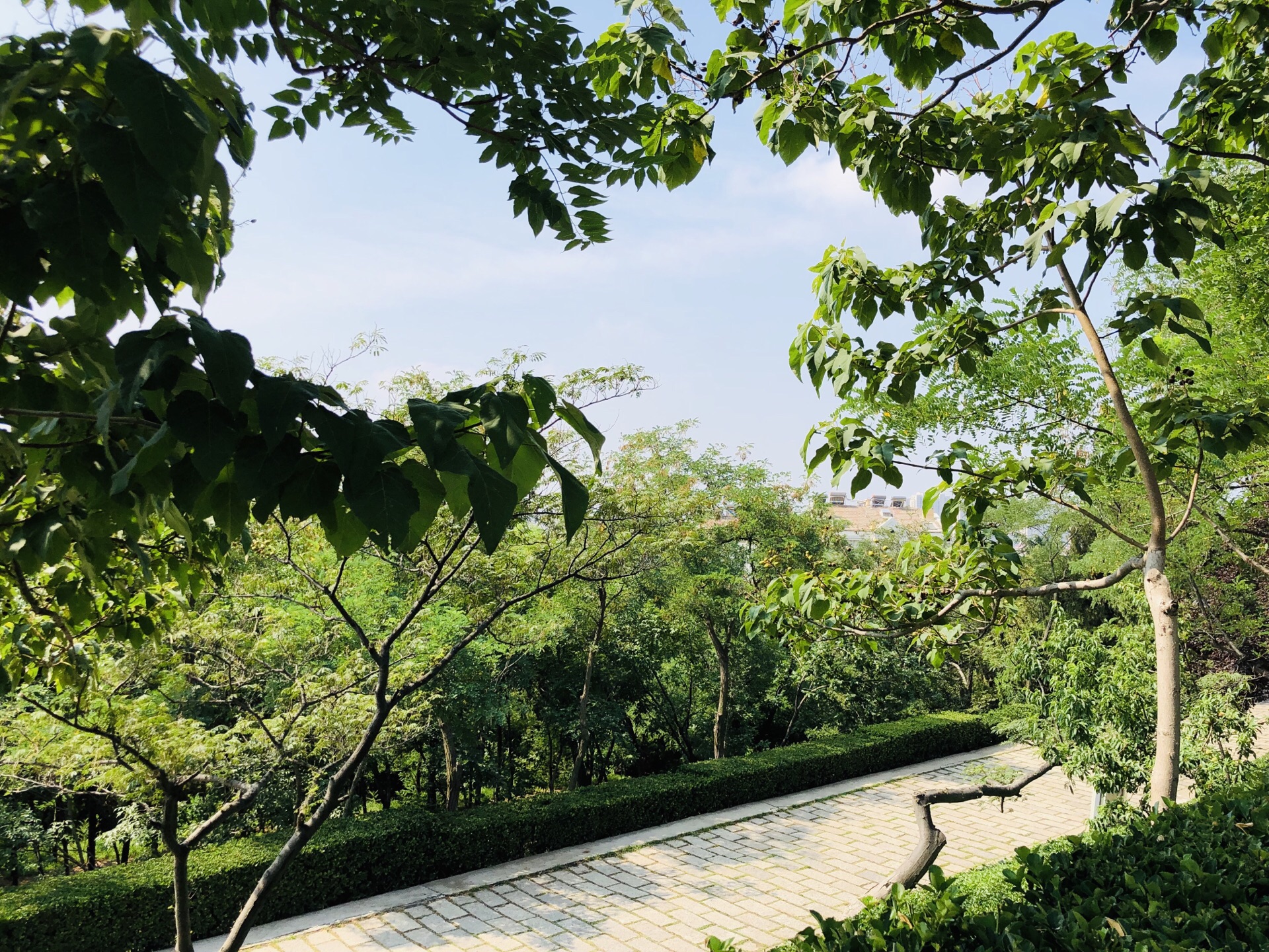 2020楼山公园-旅游攻略-门票-地址-问答-游记点评,青岛旅游旅游景点