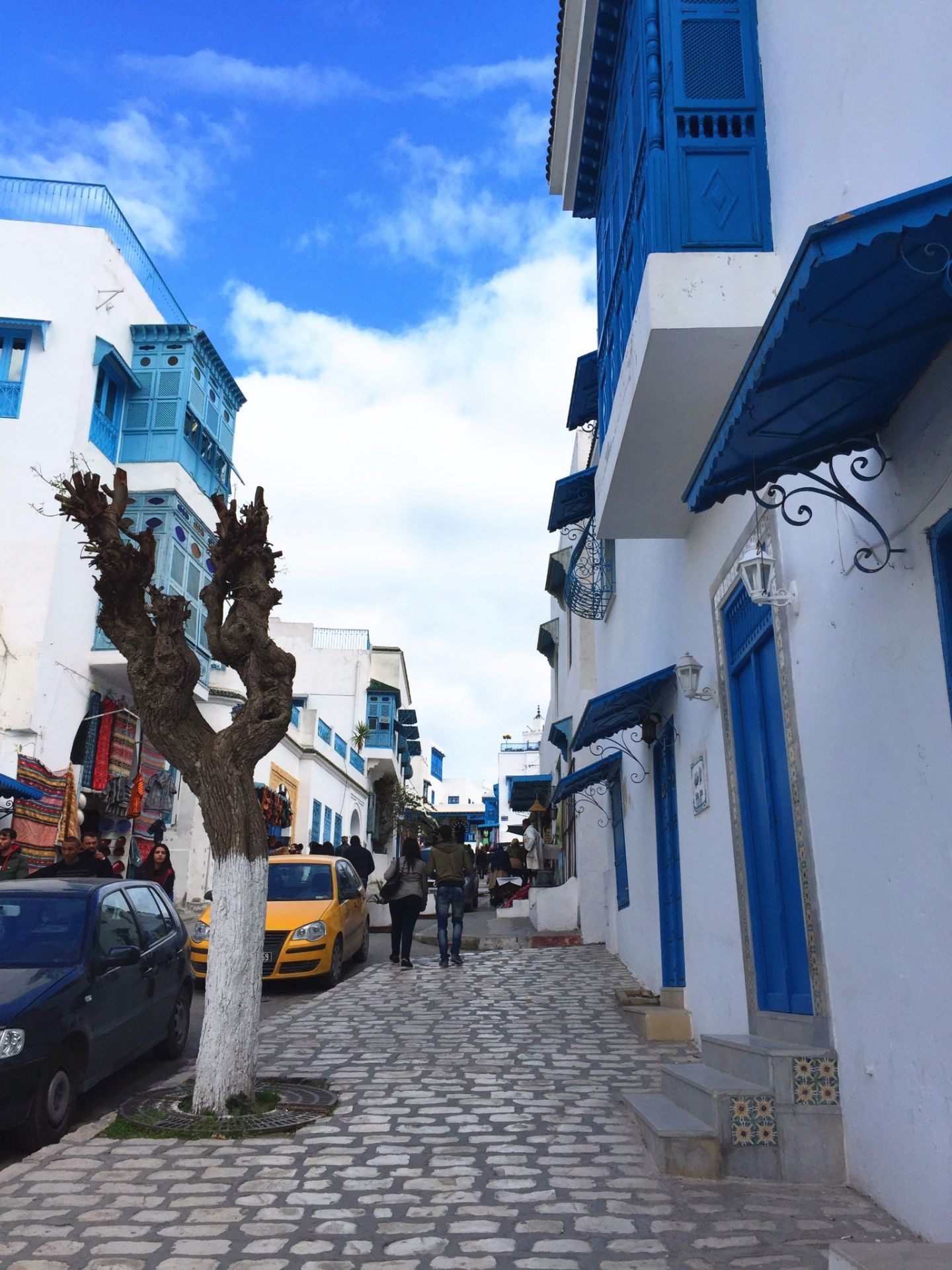 突尼斯的蓝白小镇是地中海上的一颗明珠,它坐落在地中海海边的峭壁之