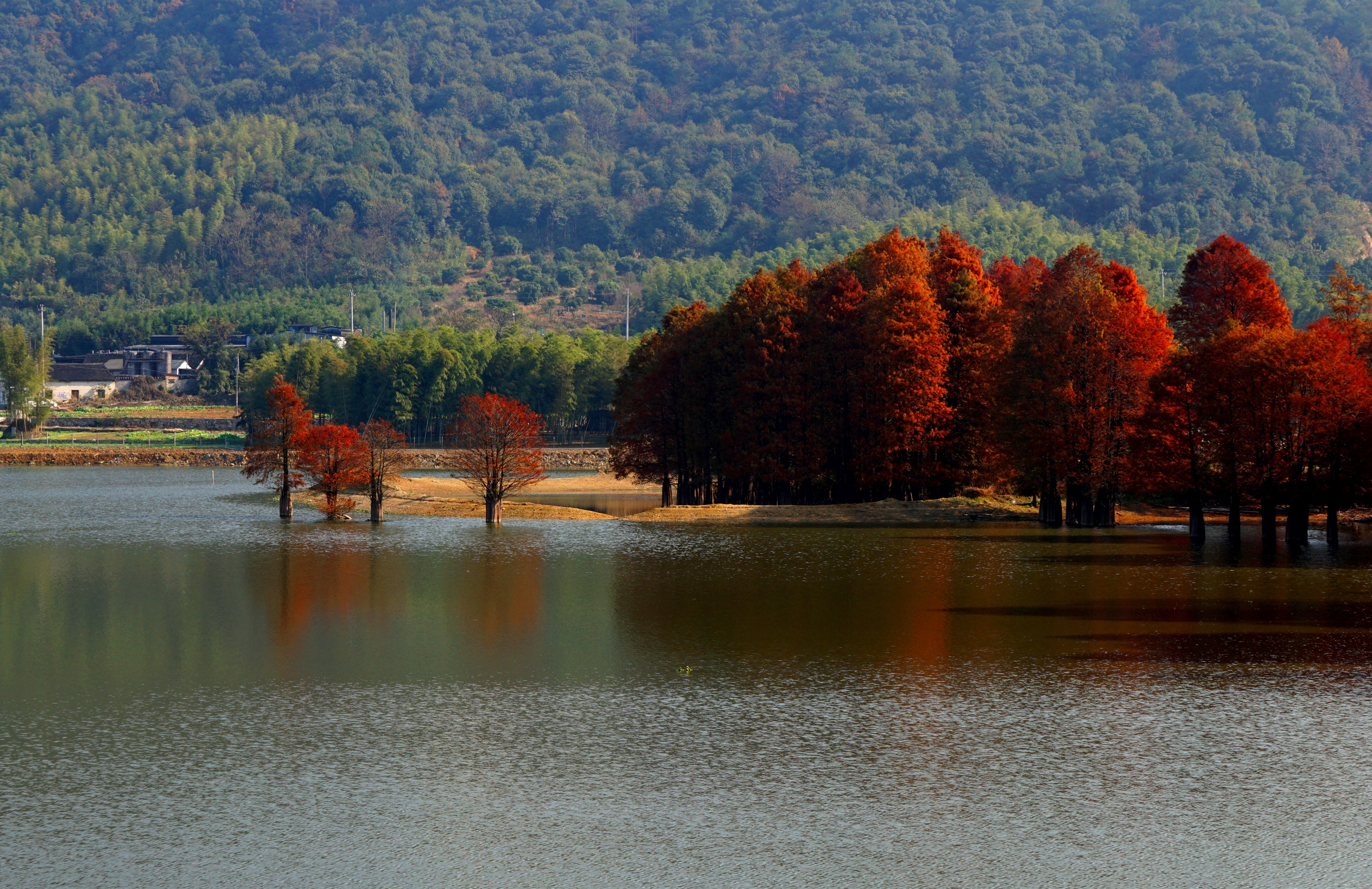 四明湖景区图片