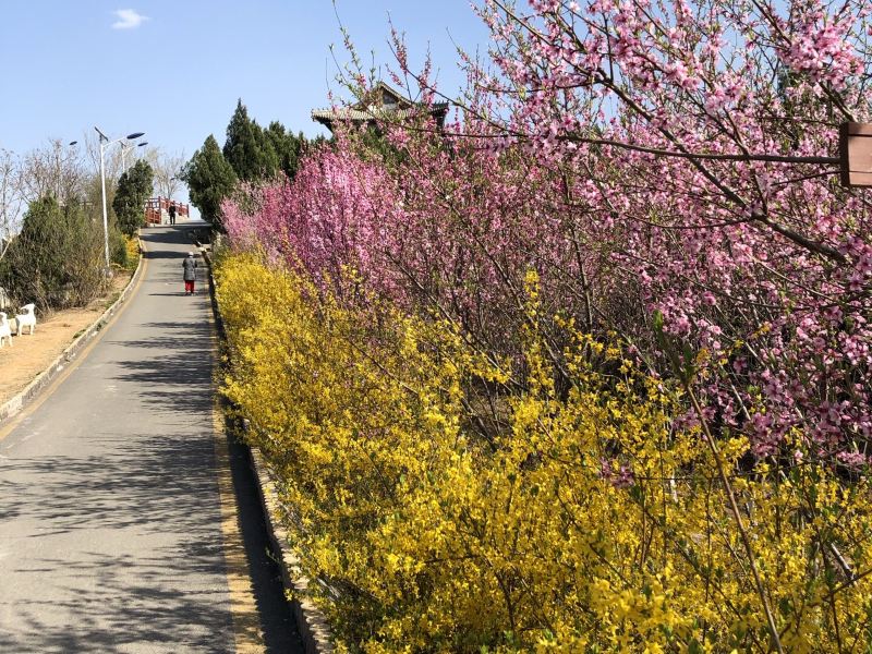 濟南郎茂山公園攻略-郎茂山公園門票價格多少錢-團購票價預定優惠