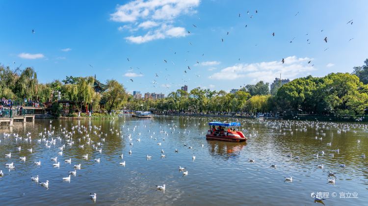 昆明翠湖公園觀鳥攻略-翠湖公園觀鳥門票價格多少錢-團購票價預定優惠