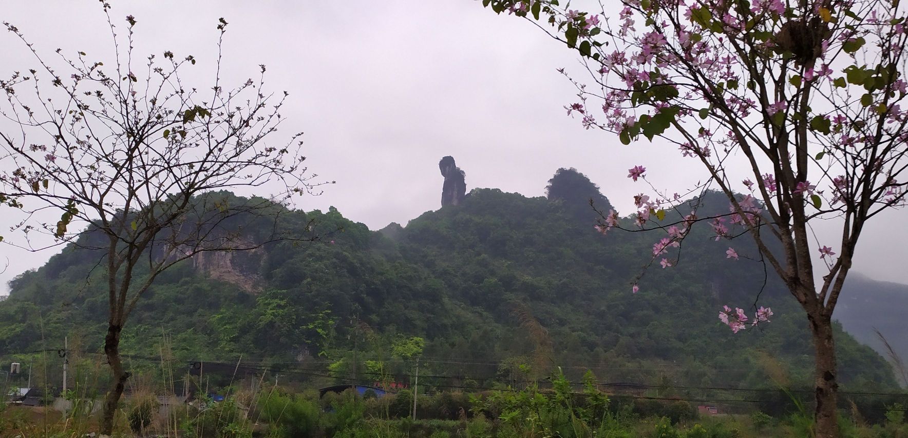 后天有人介绍这个叫东郎山,另外还有一座西郎山