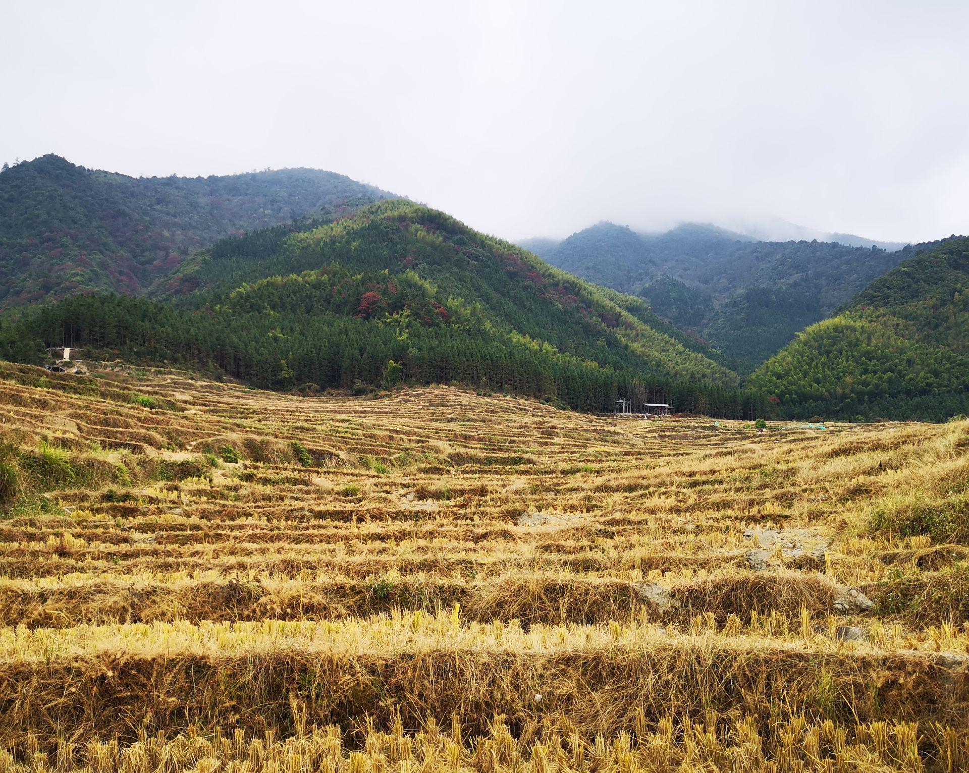 连山鹿鸣关攻略,连山鹿鸣关门票/游玩攻略/地址/图片/门票价格【携程