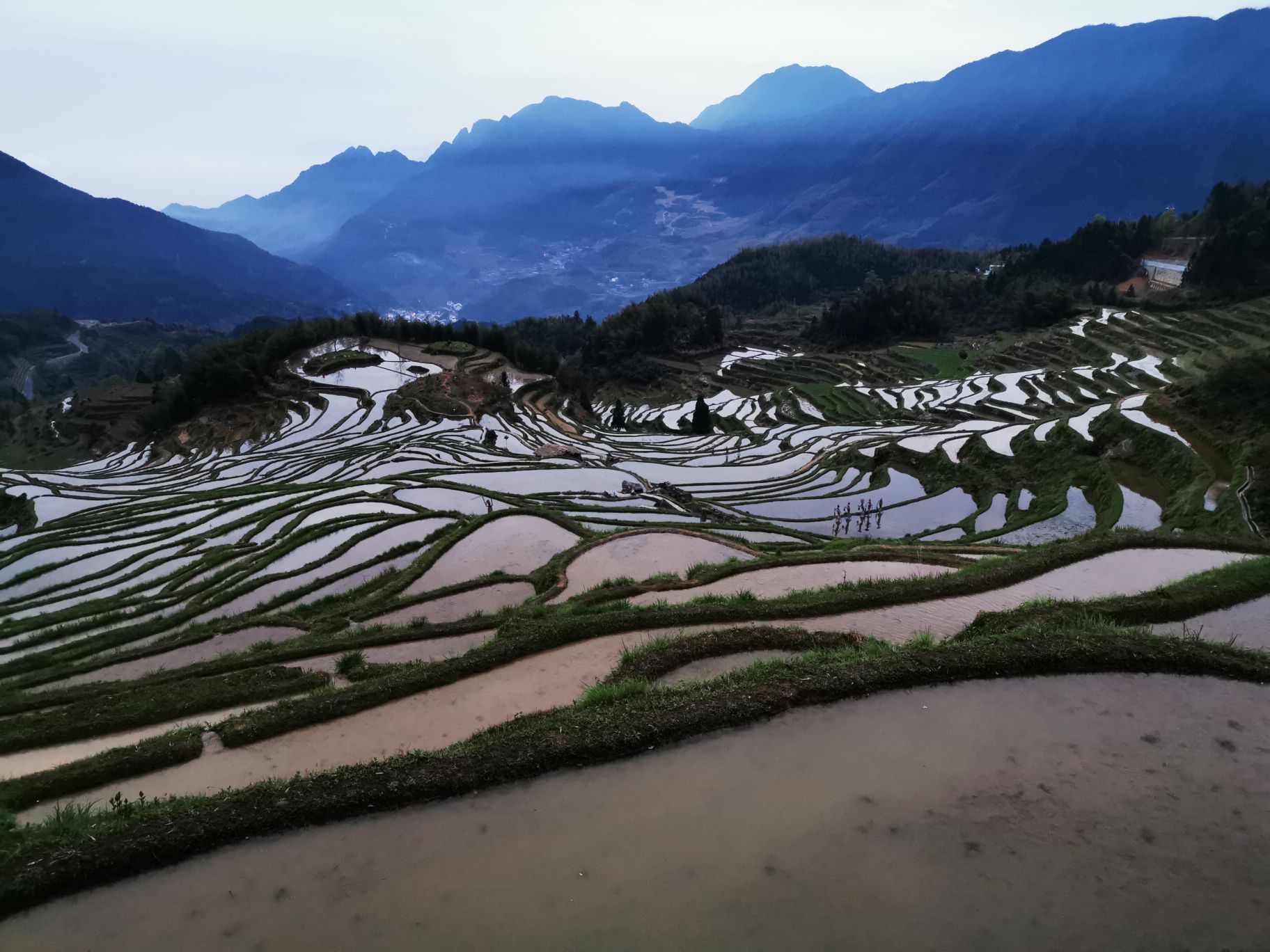 雲和梯田景區