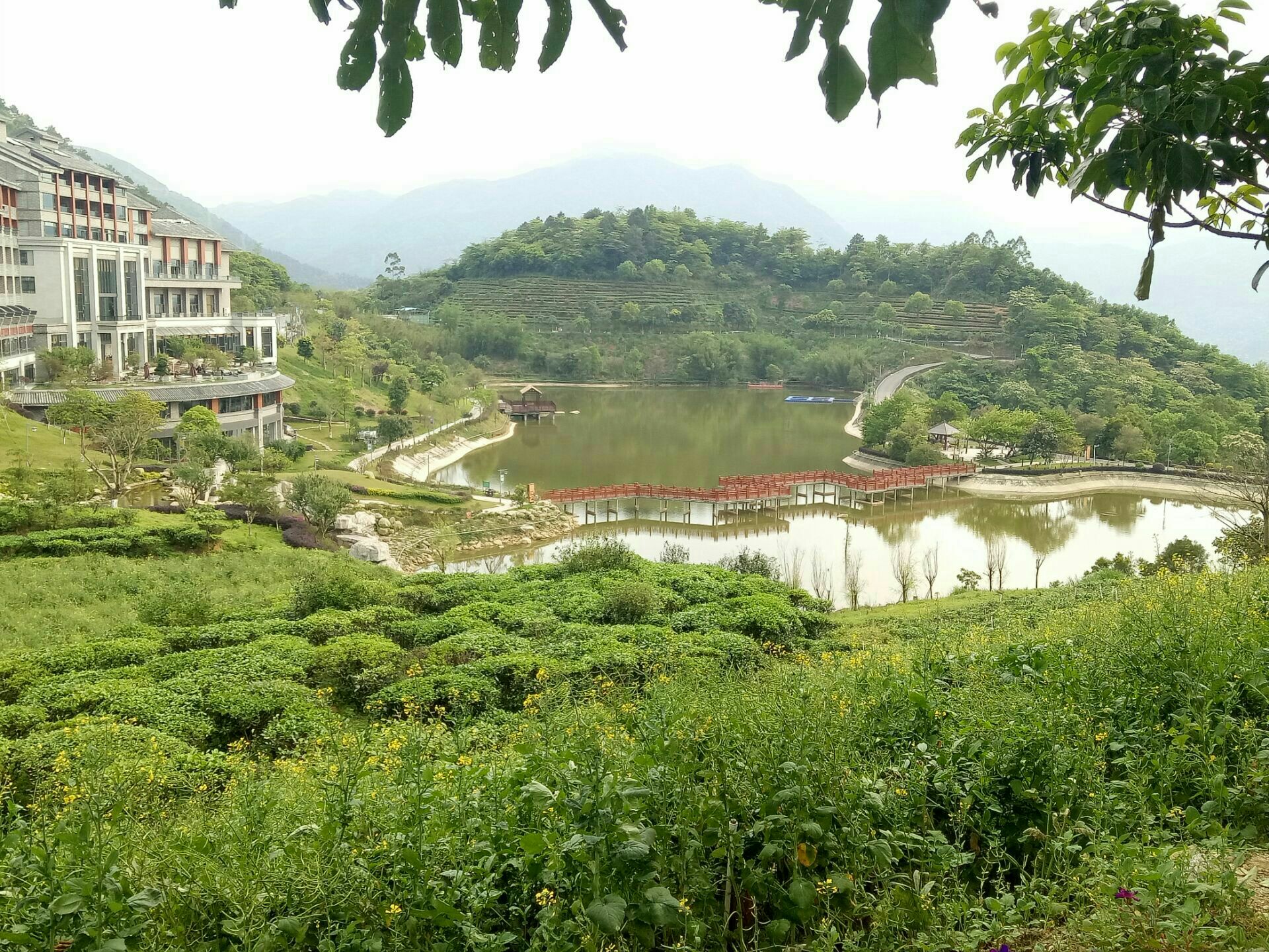 木兰草原风光【武汉 黄陂 木兰草原风景区】|木兰草原|黄陂|风景区_新浪新闻