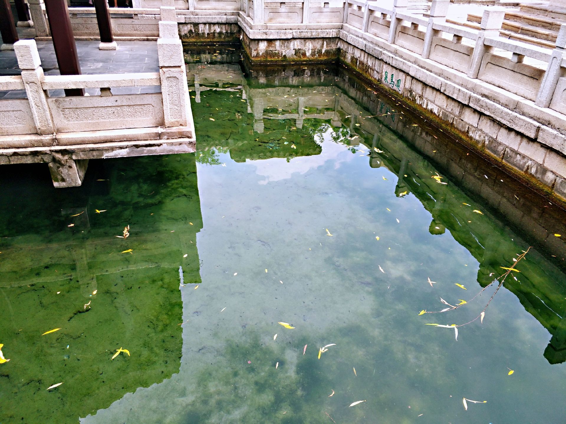 回马泉位于五龙潭公园内南侧,条石砌池岸,水面与"