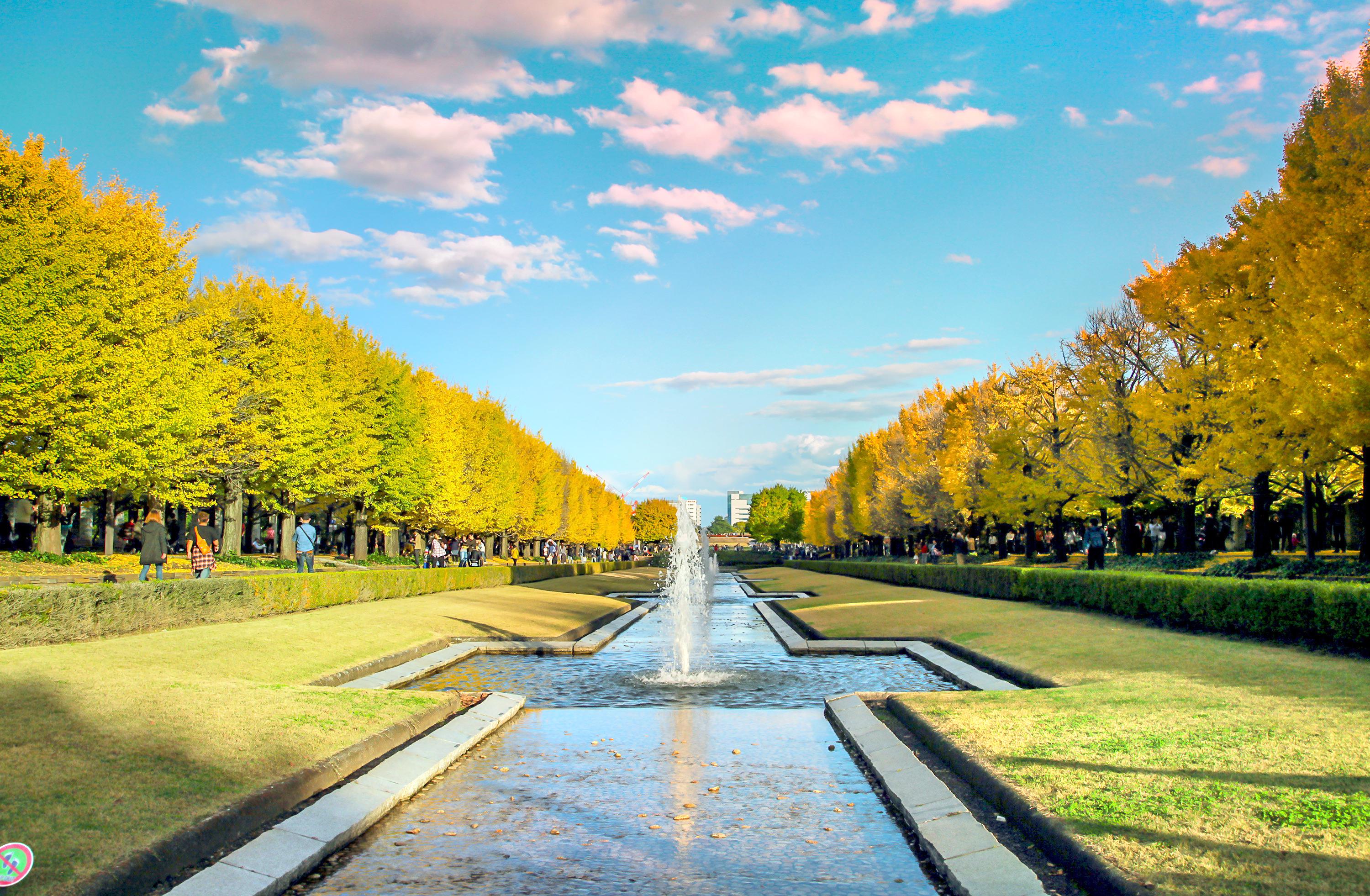 立川市国营昭和纪念公园攻略 国营昭和纪念公园门票价格多少钱 团购票价预定优惠 景点地址图片 携程攻略