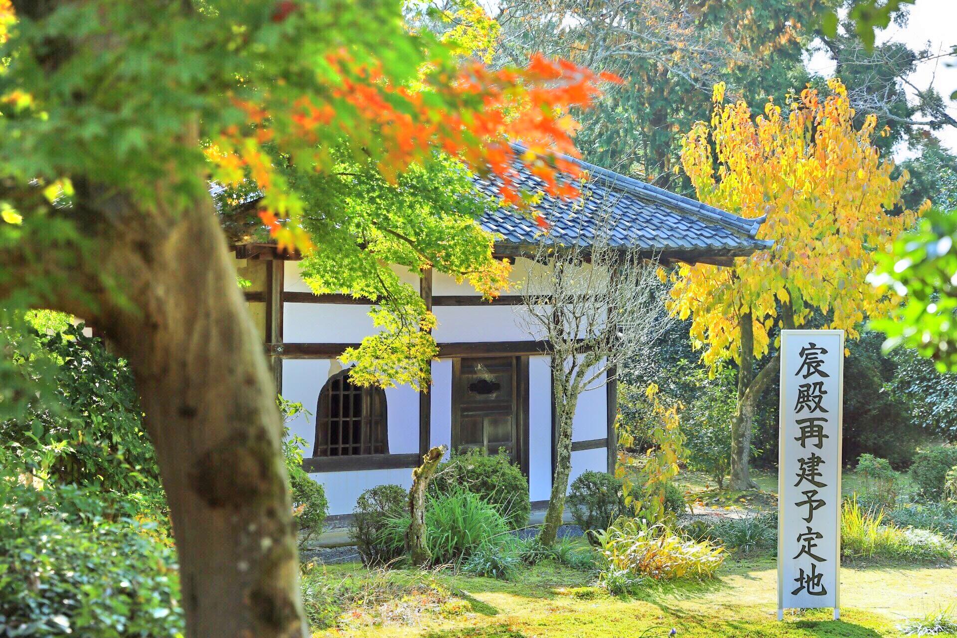 鹭森神社图片