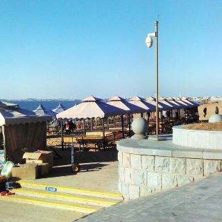 盖州仙人岛国家森林公园攻略-仙人岛国家森林公园门票价格多少钱-团购