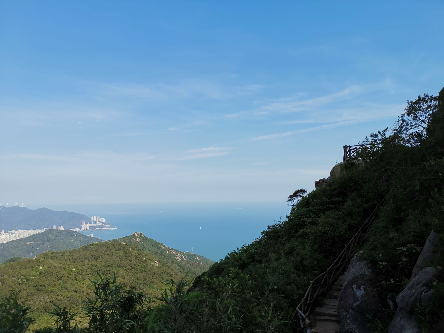 黃花山森林公園