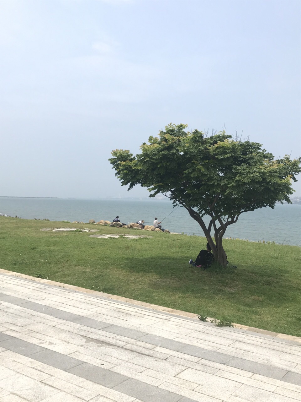 南湖左岸河滨公园