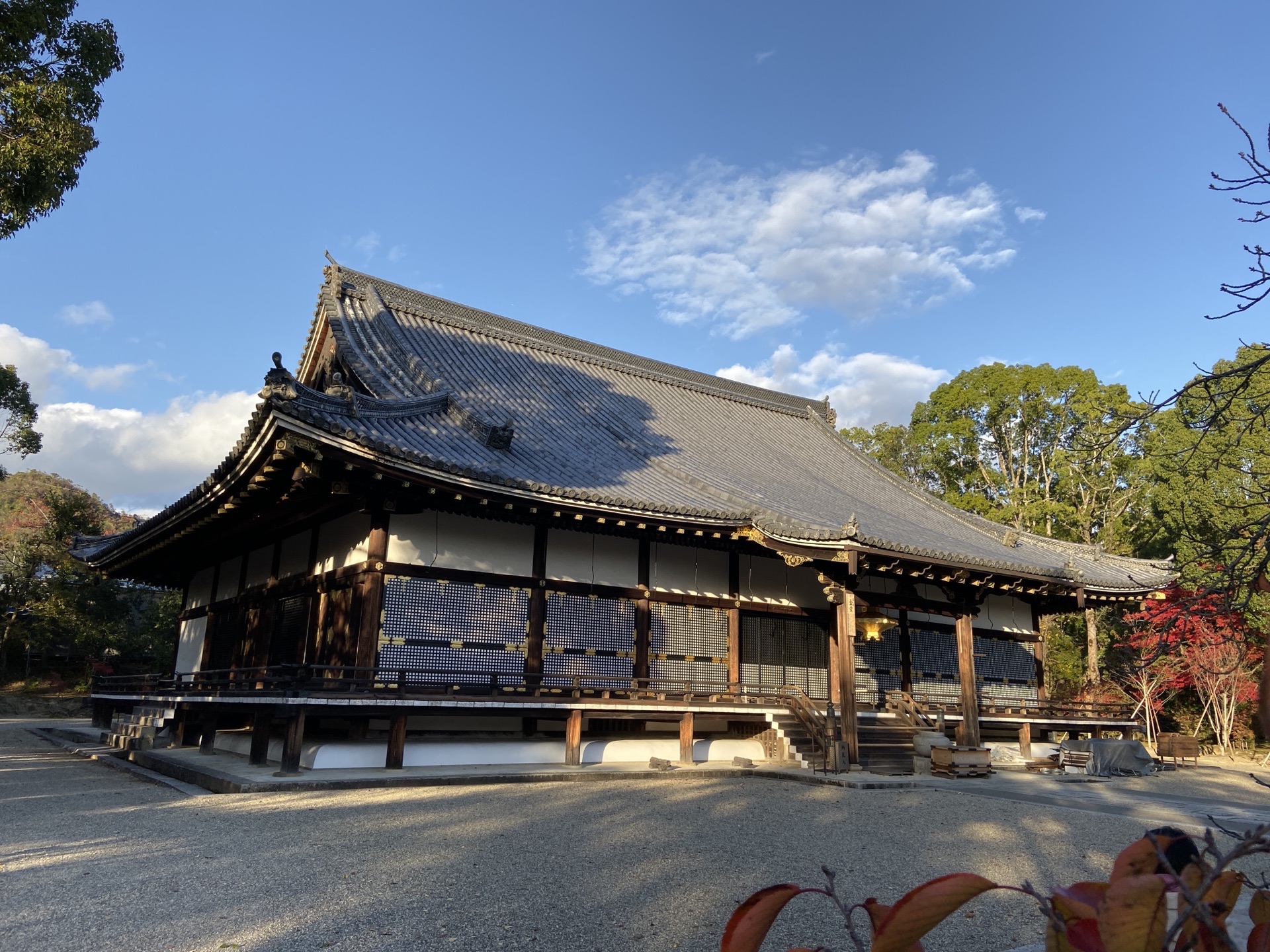 21仁和寺游玩攻略 秋天来到仁和寺 自然是为了 去哪儿攻略